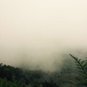 亚洲最大无码Av在线观看
